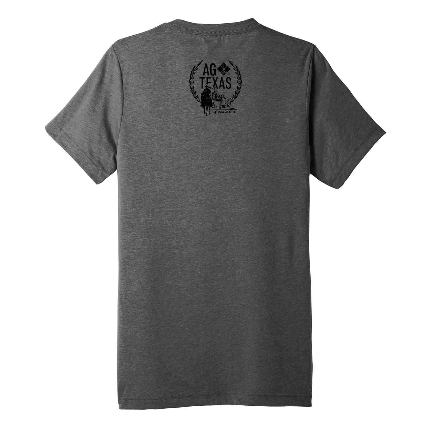 BC3413-Grey Triblend-Back – AgTexas